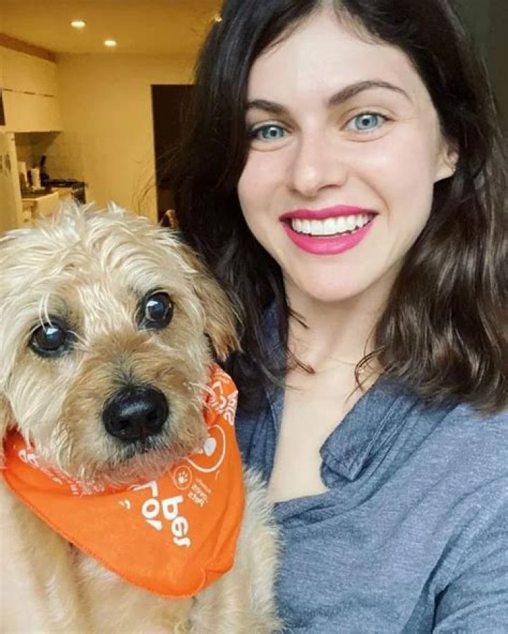 Alexandra Daddario Pets - Celebrity Pets