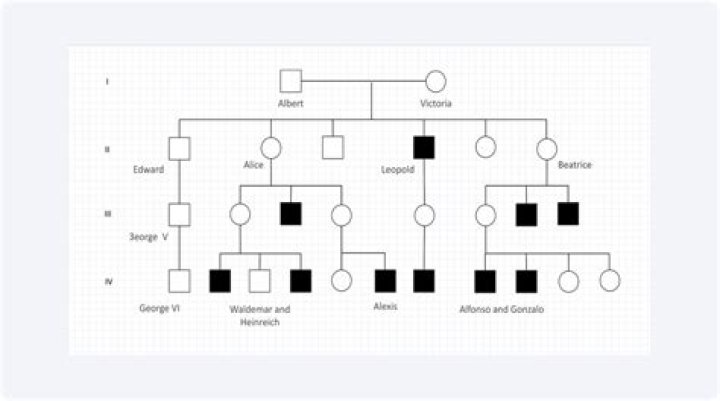 Are Seth Macfarlane’s Voices and Talents a Family Trait?