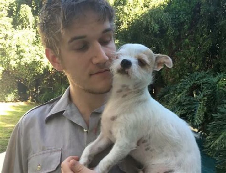 Bo Burnham Pets - Celebrity Pets