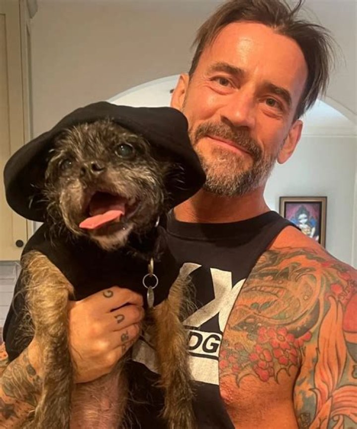 CM Punk Pets - Celebrity Pets