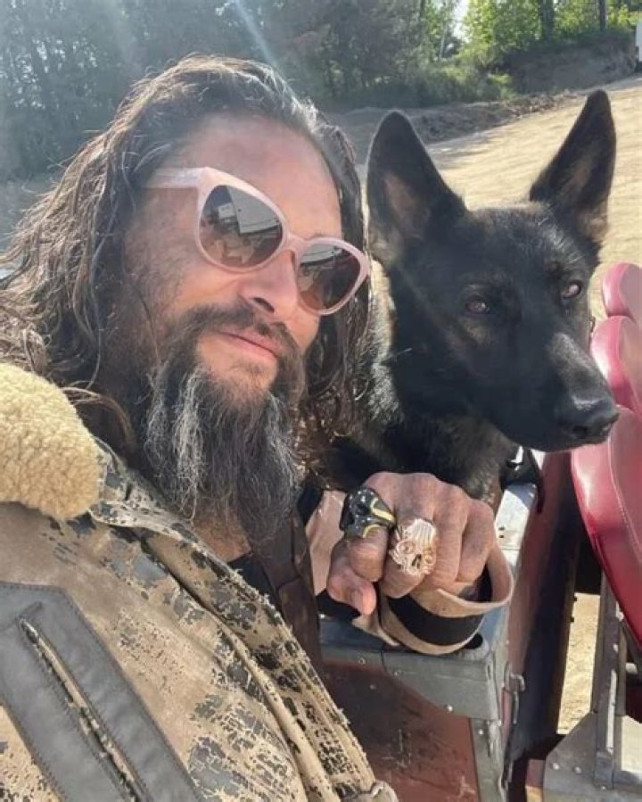 Jason Momoa Pets - Celebrity Pets