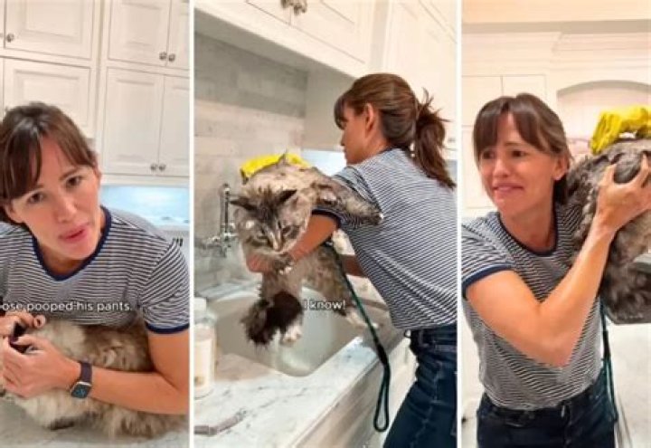 Jennifer Garner Shares Chaotic Video Bathing Her Huge Himalayan Cat