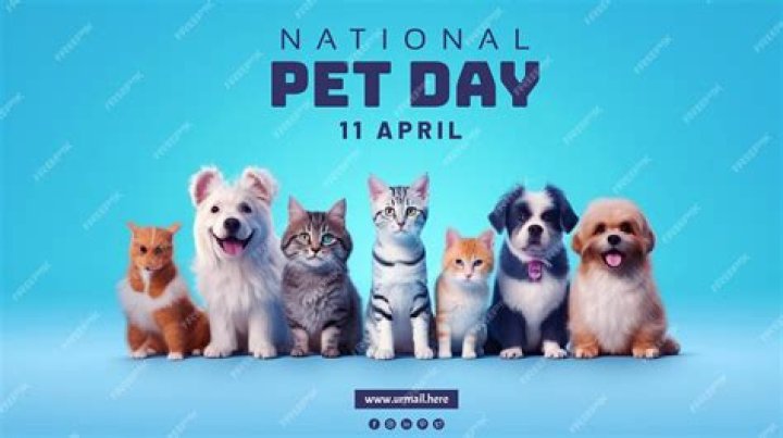 National Pet Day April 11th – Grab Your Fur Baby and Show Them Some Love