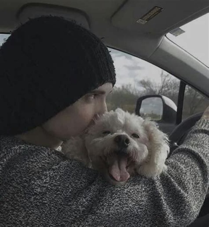 Otto Wood Pets - Celebrity Pets