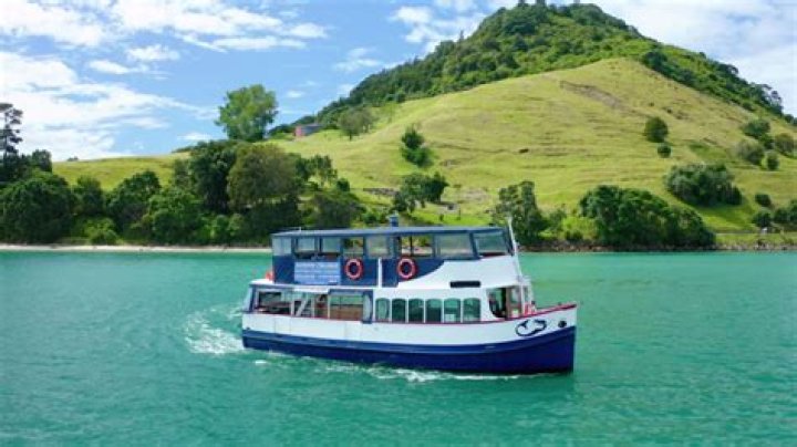 Tauranga Cruise: Best Cruises to Tauranga