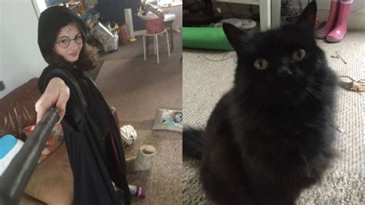 Ten-year-old conducts interview with her cat – hilarity ensues