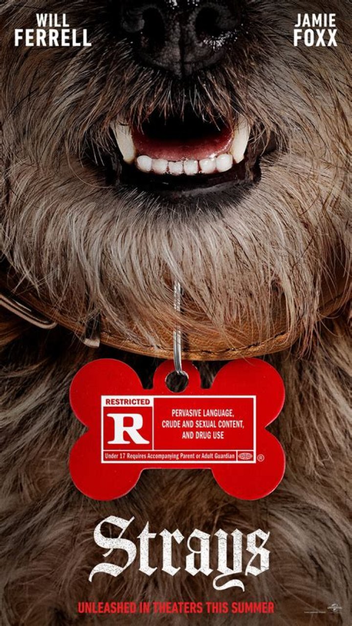 The Strays release date, cast, synopsis, photos, trailer, and more